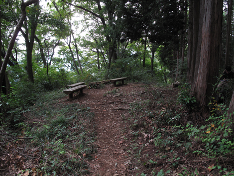 20171005hike (158)